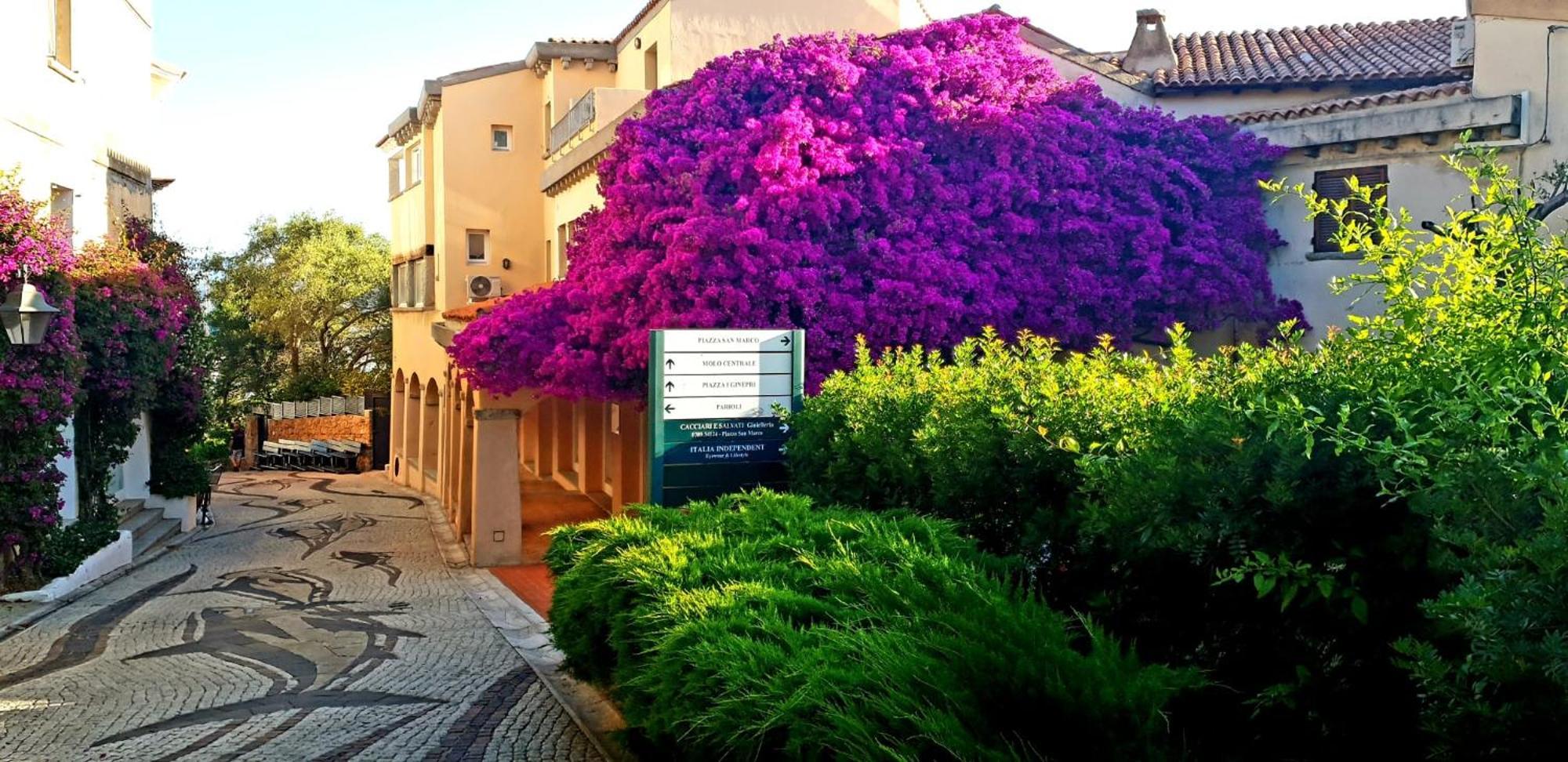 Residence Bouganville Porto Rotondo Luaran gambar
